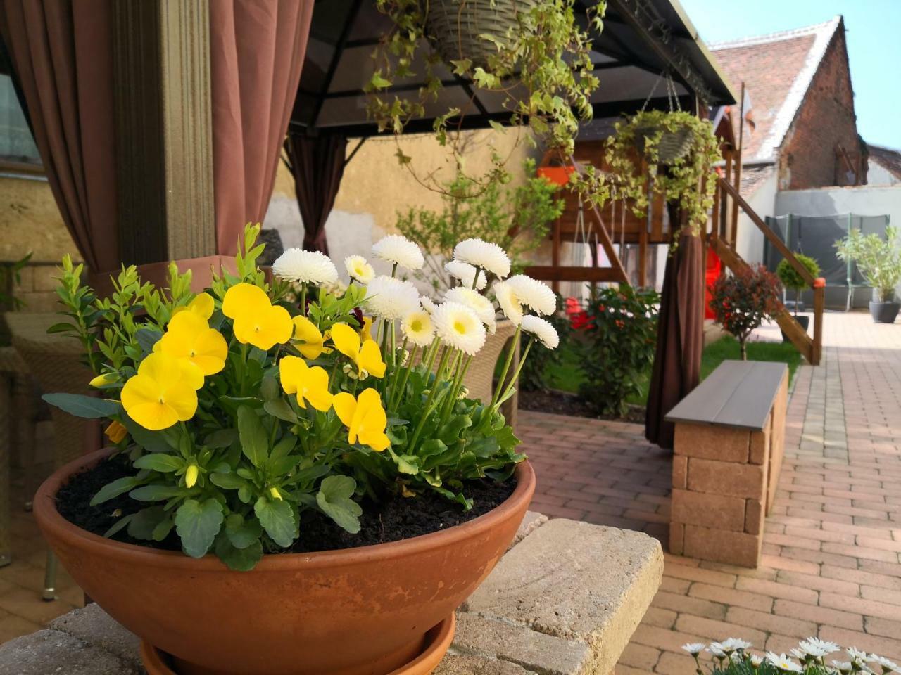 Korzo Apartman Kőszeg Exteriér fotografie